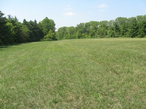 Property photo 23 - 27 Acres offered in 2 Tracts or Combination, Former U.A.W. Hall